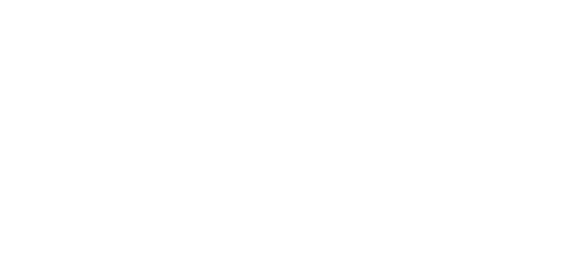 1Vision White Logo